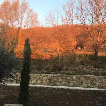Gasthuis In Cabin - Natural Holidays *