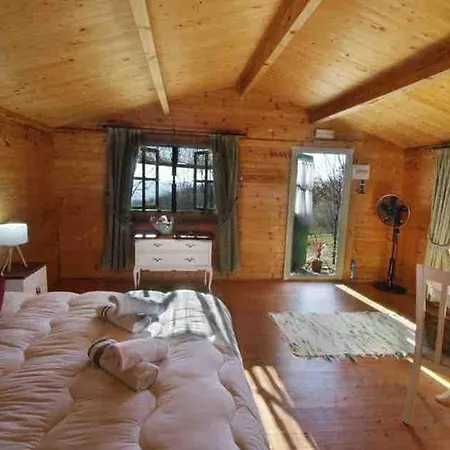 In Cabin - Natural Holidays